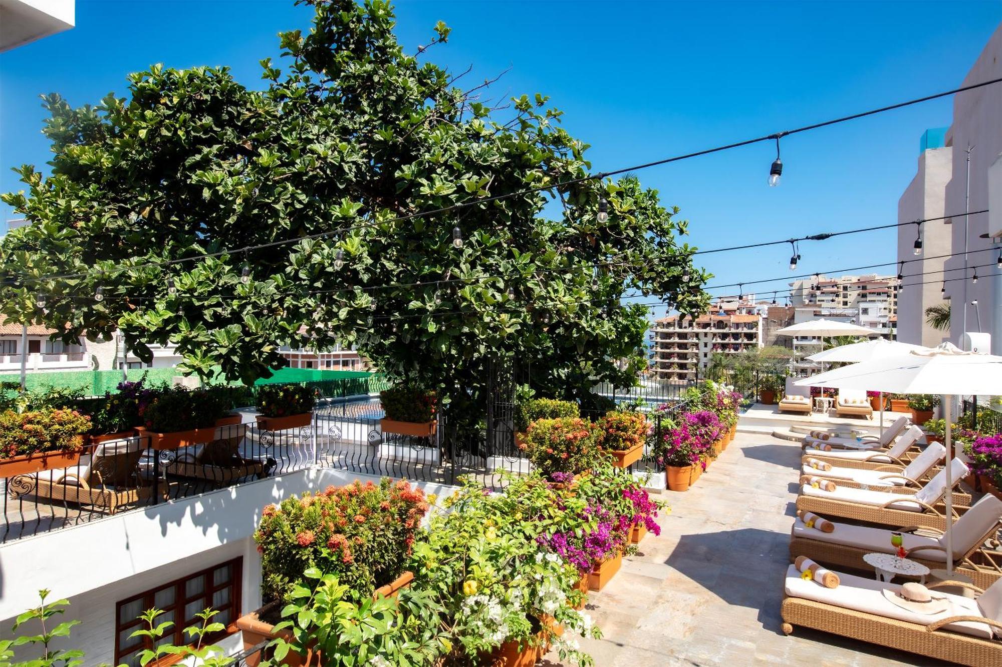 Casa Dona Susana (Adults Only) Puerto Vallarta Ngoại thất bức ảnh